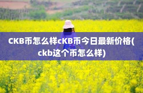 CKB币怎么样cKB币今日最新价格(ckb这个币怎么样)