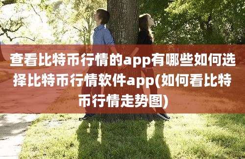 查看比特币行情的app有哪些如何选择比特币行情软件app(如何看比特币行情走势图)