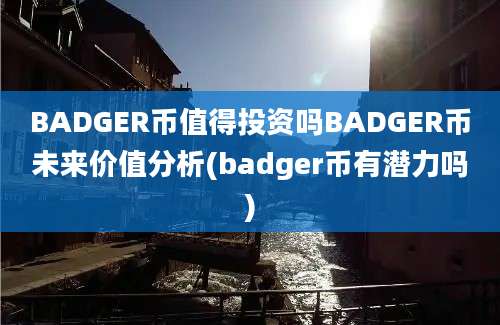 BADGER币值得投资吗BADGER币未来价值分析(badger币有潜力吗)