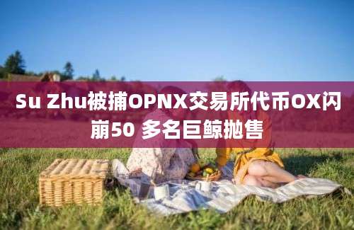 Su Zhu被捕OPNX交易所代币OX闪崩50 多名巨鲸抛售