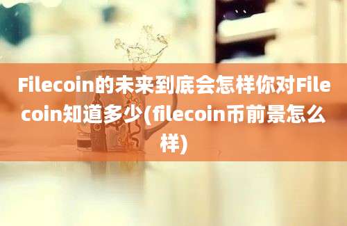 Filecoin的未来到底会怎样你对Filecoin知道多少(filecoin币前景怎么样)