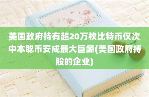 美国政府持有超20万枚比特币仅次中本聪币安成最大巨鲸(美国政府持股的企业)