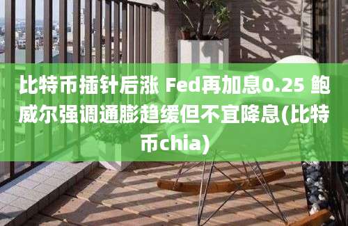 比特币插针后涨 Fed再加息0.25 鲍威尔强调通膨趋缓但不宜降息(比特币chia)