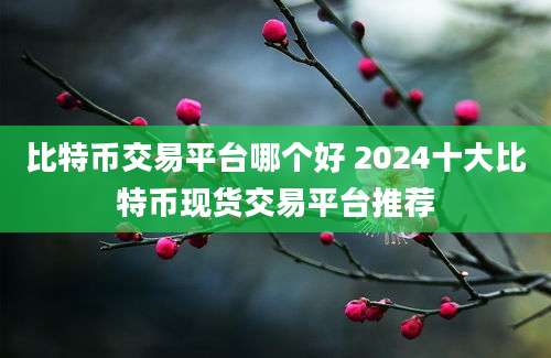 比特币交易平台哪个好 2024十大比特币现货交易平台推荐