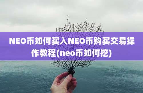 NEO币如何买入NEO币购买交易操作教程(neo币如何挖)