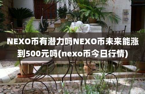 NEXO币有潜力吗NEXO币未来能涨到500元吗(nexo币今日行情)