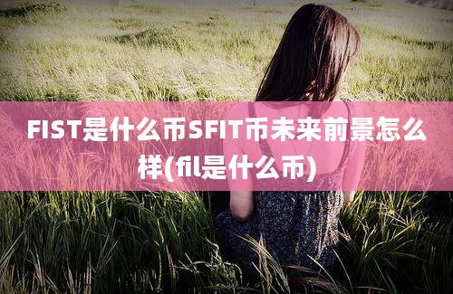 FIST是什么币SFIT币未来前景怎么样(fil是什么币)