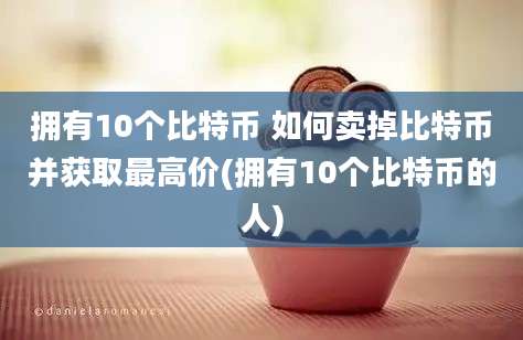 拥有10个比特币 如何卖掉比特币并获取最高价(拥有10个比特币的人)