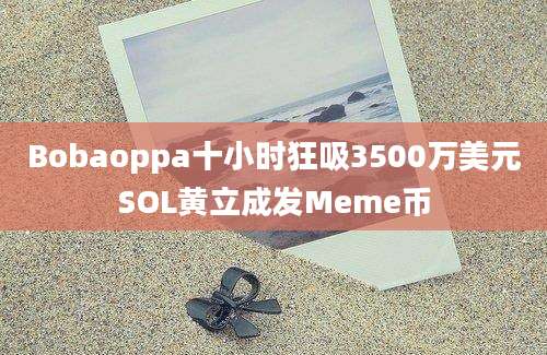 Bobaoppa十小时狂吸3500万美元SOL黄立成发Meme币