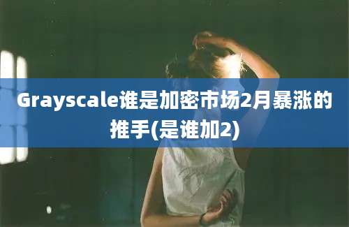 Grayscale谁是加密市场2月暴涨的推手(是谁加2)