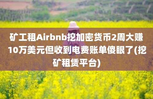 矿工租Airbnb挖加密货币2周大赚10万美元但收到电费账单傻眼了(挖矿租赁平台)