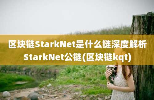 区块链StarkNet是什么链深度解析StarkNet公链(区块链kqt)