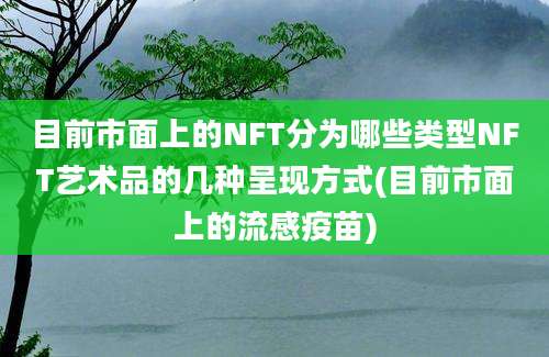 目前市面上的NFT分为哪些类型NFT艺术品的几种呈现方式(目前市面上的流感疫苗)