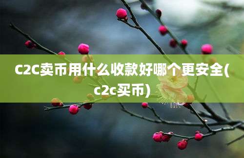 C2C卖币用什么收款好哪个更安全(c2c买币)