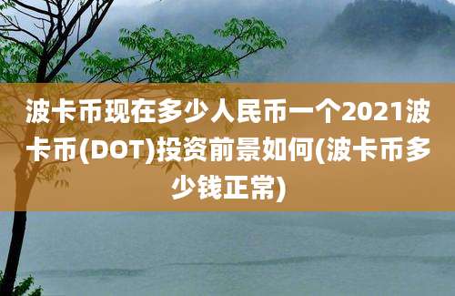 波卡币现在多少人民币一个2021波卡币(DOT)投资前景如何(波卡币多少钱正常)