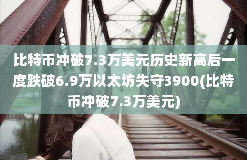 比特币冲破7.3万美元历史新高后一度跌破6.9万以太坊失守3900(比特币冲破7.3万美元)