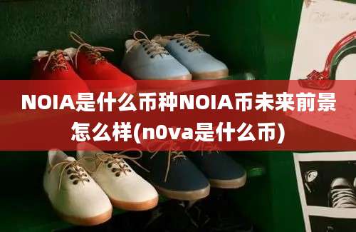 NOIA是什么币种NOIA币未来前景怎么样(n0va是什么币)