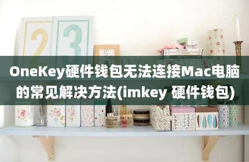 OneKey硬件钱包无法连接Mac电脑的常见解决方法(imkey 硬件钱包)