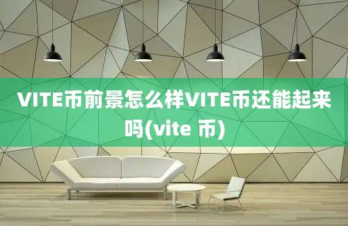 VITE币前景怎么样VITE币还能起来吗(vite 币)