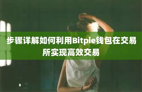 步骤详解如何利用Bitpie钱包在交易所实现高效交易