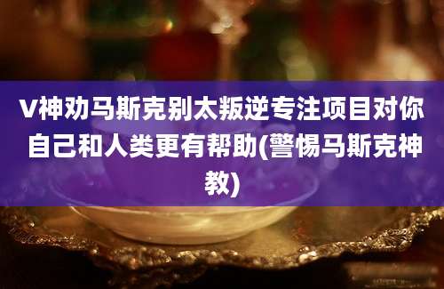 V神劝马斯克别太叛逆专注项目对你自己和人类更有帮助(警惕马斯克神教)