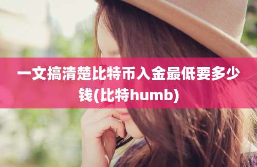 一文搞清楚比特币入金最低要多少钱(比特humb)