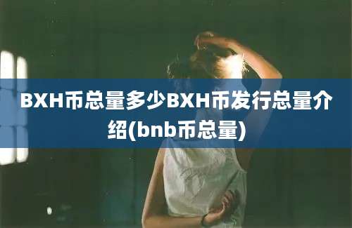 BXH币总量多少BXH币发行总量介绍(bnb币总量)