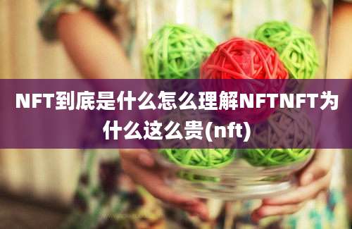 NFT到底是什么怎么理解NFTNFT为什么这么贵(nft)