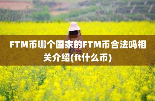 FTM币哪个国家的FTM币合法吗相关介绍(ft什么币)