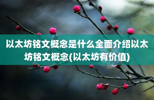 以太坊铭文概念是什么全面介绍以太坊铭文概念(以太坊有价值)