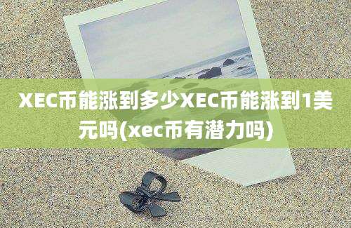 XEC币能涨到多少XEC币能涨到1美元吗(xec币有潜力吗)