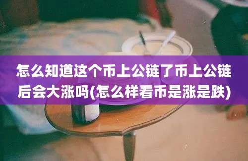 怎么知道这个币上公链了币上公链后会大涨吗(怎么样看币是涨是跌)