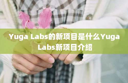 Yuga Labs的新项目是什么Yuga Labs新项目介绍