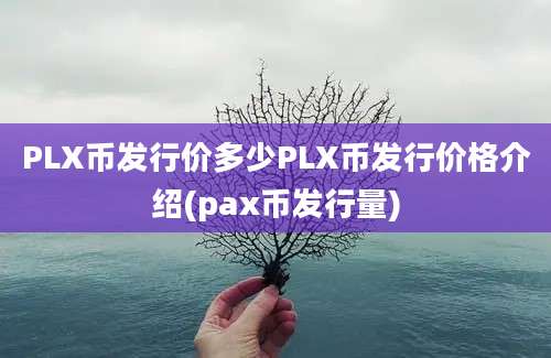 PLX币发行价多少PLX币发行价格介绍(pax币发行量)