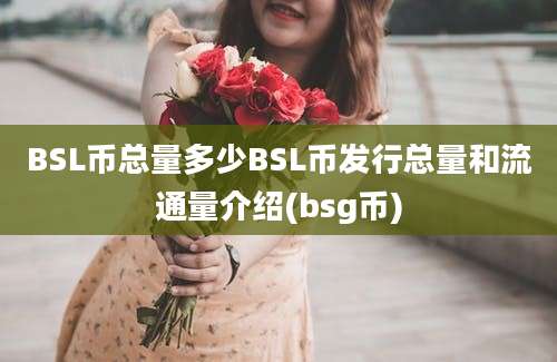 BSL币总量多少BSL币发行总量和流通量介绍(bsg币)