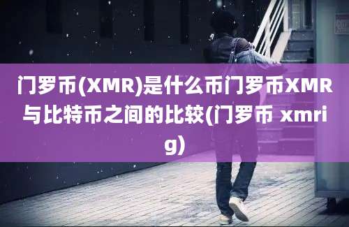 门罗币(XMR)是什么币门罗币XMR与比特币之间的比较(门罗币 xmrig)