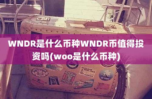 WNDR是什么币种WNDR币值得投资吗(woo是什么币种)