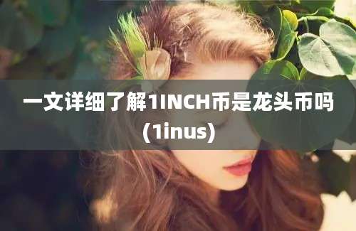 一文详细了解1INCH币是龙头币吗(1inus)