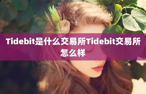 Tidebit是什么交易所Tidebit交易所怎么样