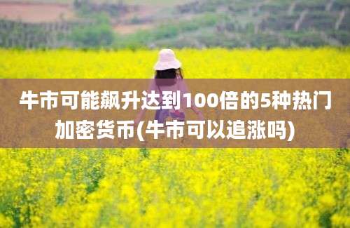 牛市可能飙升达到100倍的5种热门加密货币(牛市可以追涨吗)