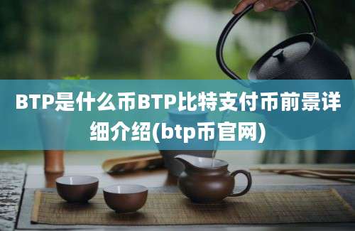 BTP是什么币BTP比特支付币前景详细介绍(btp币官网)