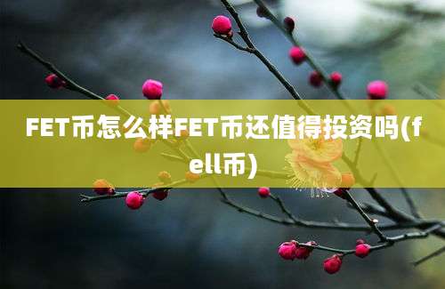 FET币怎么样FET币还值得投资吗(fell币)