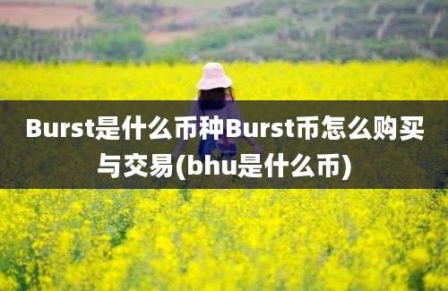 Burst是什么币种Burst币怎么购买与交易(bhu是什么币)