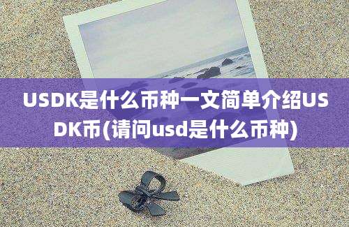 USDK是什么币种一文简单介绍USDK币(请问usd是什么币种)