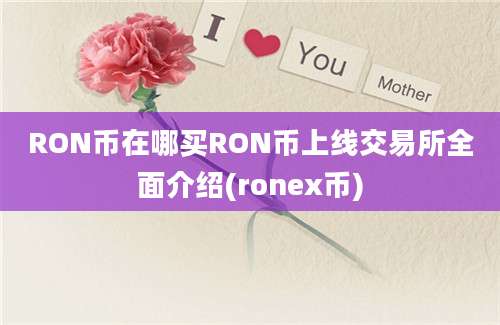 RON币在哪买RON币上线交易所全面介绍(ronex币)