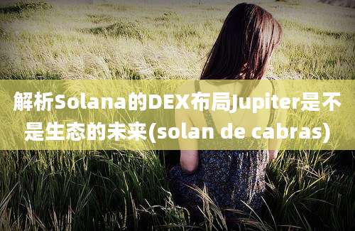 解析Solana的DEX布局Jupiter是不是生态的未来(solan de cabras)