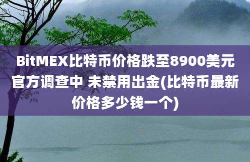 BitMEX比特币价格跌至8900美元官方调查中 未禁用出金(比特币最新价格多少钱一个)