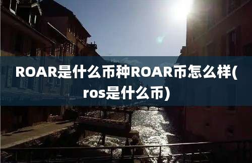 ROAR是什么币种ROAR币怎么样(ros是什么币)