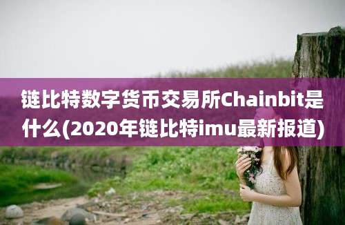 链比特数字货币交易所Chainbit是什么(2020年链比特imu最新报道)