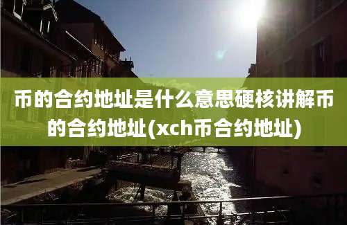 币的合约地址是什么意思硬核讲解币的合约地址(xch币合约地址)